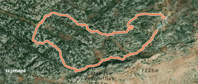 Ruta amarilla