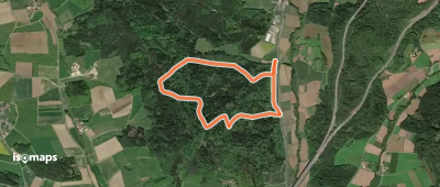 Simmelsdorfer Rundwanderweg Gelb 8