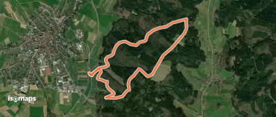 Rundwanderweg Beerfelden Buchhelle 5: Tannenbergweg