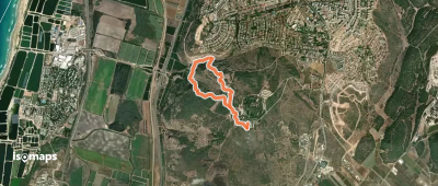 שביל הנשרים