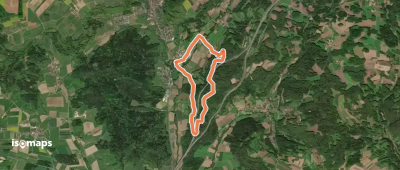Simmelsdorfer Rundwanderweg Gelb 6