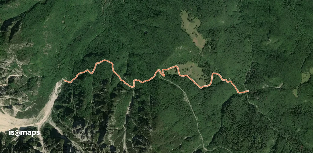 OSM Route 7142034