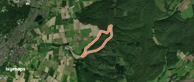 Buchen-Wildnis-Pfad (Naturerbe Wanderwelt Altenbeken)