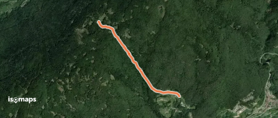 OSM Route 7205545