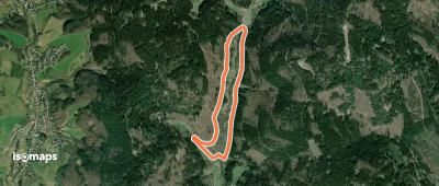 Rundwanderweg Wald-Michelbach Lichtenklingen 2: Eiterbachtal-Weg