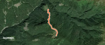 OSM Route 7231528