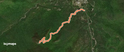 Rooster Comb Trail