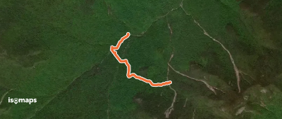 Woodsfall Trail