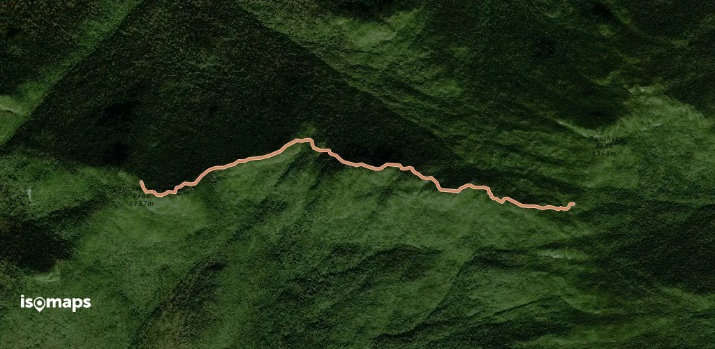 Couchsachraga Trail