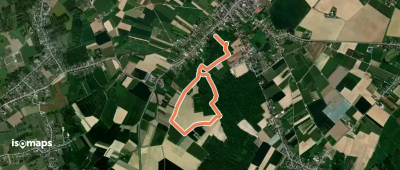 Bellevuebos Gele pijl