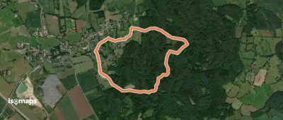 Wanderroute 6: Falke, Brekendorfer Forst