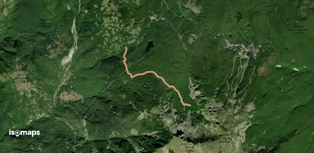 OSM Route 7267994