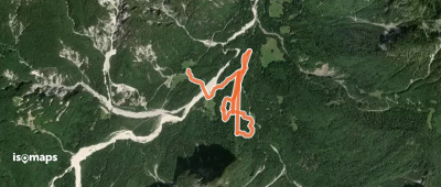 The Forest Sound Track