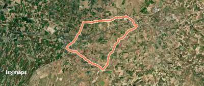 Baronia de Bellpuig