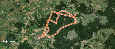 Mit der Arnika in den Rehauer Forst