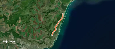 M1