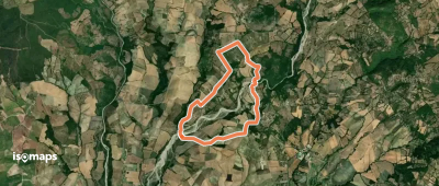 n.5 anello della Necropoli del Puntone