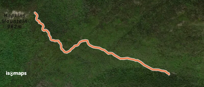 Hopkins - North Giant Trail