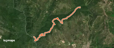 OSM Route 7317304