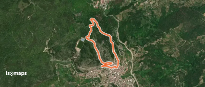Anello Marosini