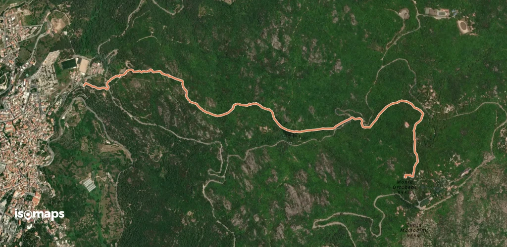 OSM Route 7329393