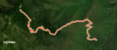 Mount Mitchell Trail