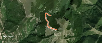 OSM Route 7391029