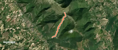 OSM Route 7393134