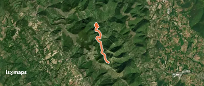 OSM Route 7393384