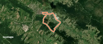 Ustrzyki Dolne (PKS)-Gromadzyń