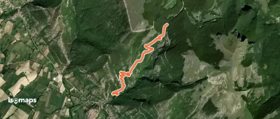 OSM Route 7393413