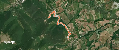 OSM Route 7394889