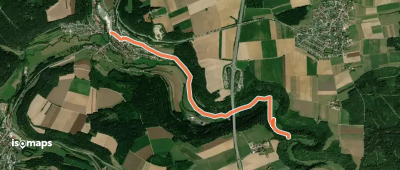 Horgen-Ruinie Wildenstein