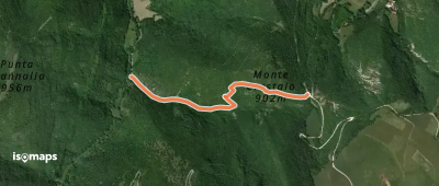 OSM Route 7405870