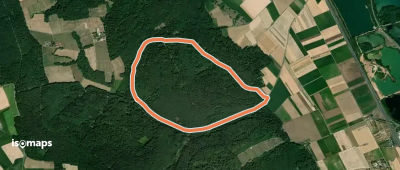 Rundwanderweg Niederberg Nasenberg 2: Nasenberg-Weg