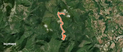 OSM Route 7412830