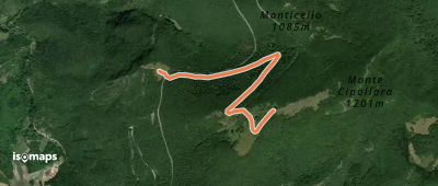 OSM Route 7423583