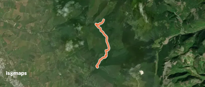 OSM Route 7426878