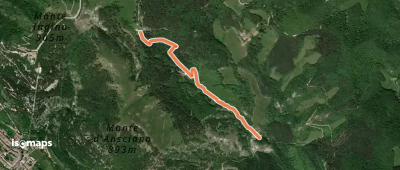 OSM Route 7428007