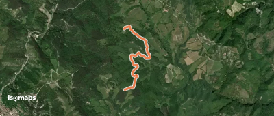 OSM Route 7428761