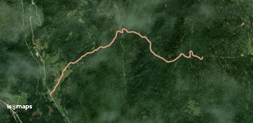 OSM Route 7445689