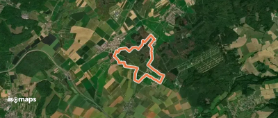 Villa Borg Trail