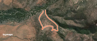 Daveys Gully Hike