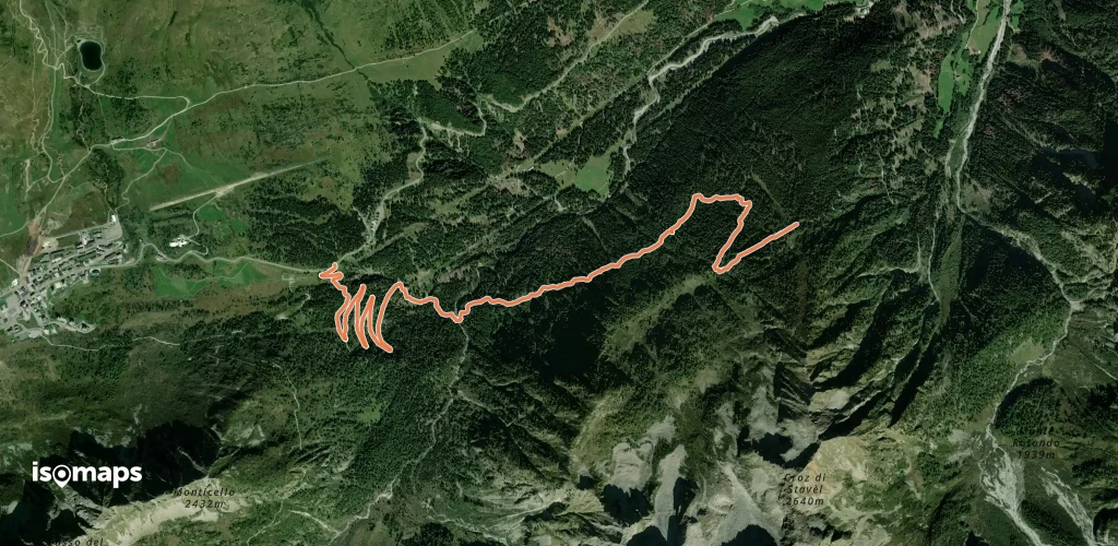 OSM Route 7460025
