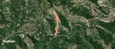 OSM Route 7460322