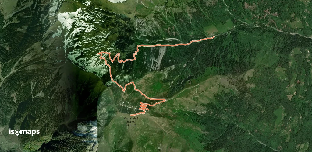 OSM Route 7461421