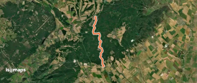 OSM Route 569505