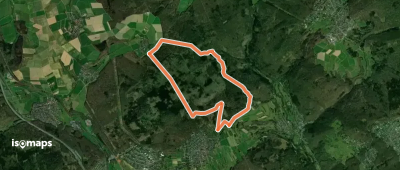 Lindenkopf: Geweih