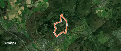 Lindenkopf: Fichte