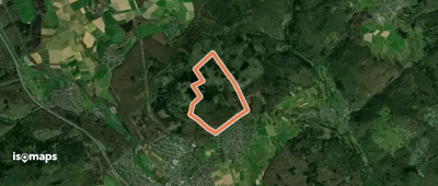 Lindenkopf: Rehbock